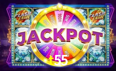 Security Systems t55