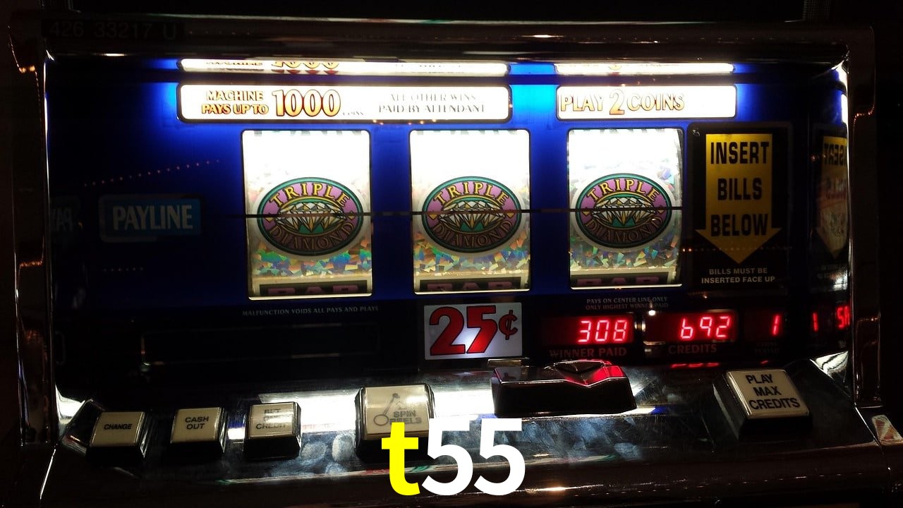 VIP Casino t55