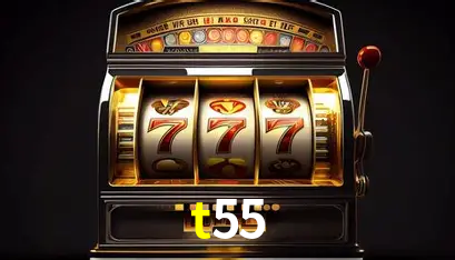 Interface Premium t55